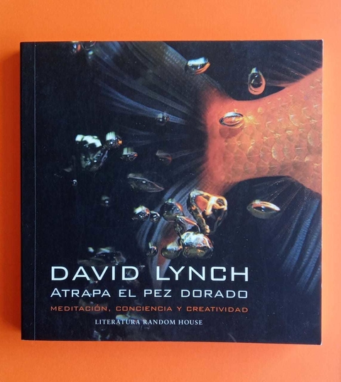 Atrapa el pez dorado - David Lynch