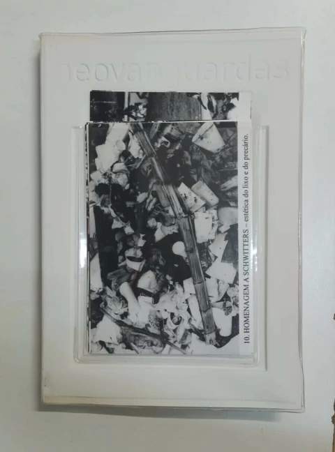 Neovanguardas. Museu de Arte da Pampulha. 50 anos.