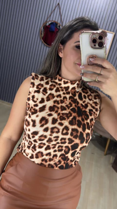 Regata Viscolaicka na internet