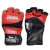 MMA Gloves Lonsdale® Amateur Talla L