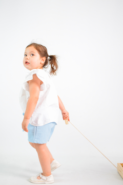 CARRITO DE ARRASTRE + 34 BLOQUES - comprar online