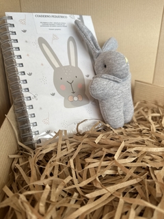 CUADERNO PEDIÁTRICO ¡SÚPER COMPLETO! (DE 0 A 6 AÑOS)