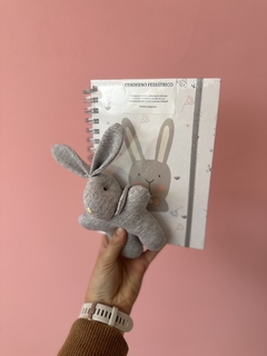 CUADERNO PEDIÁTRICO ¡SÚPER COMPLETO! (DE 0 A 6 AÑOS) - comprar online