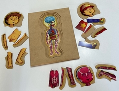 ROMPECABEZAS DE MADERA NENE O NENA MONTESSORI: "EL CUERPO HUMANO" (5 EN 1) en internet