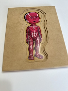 ROMPECABEZAS DE MADERA NENE O NENA MONTESSORI: "EL CUERPO HUMANO" (5 EN 1) en internet