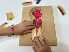 ROMPECABEZAS DE MADERA NENE O NENA MONTESSORI: "EL CUERPO HUMANO" (5 EN 1)