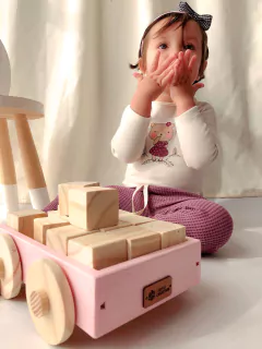 CARRITO DE ARRASTRE + 15 CUBOS NATURALES en internet