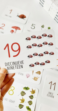 FLASHCARDS CONTEO: NÚMEROS DEL 1 AL 25. (CARTAS EDUCATIVAS MONTESSORI)