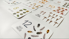FLASHCARDS CONTEO: NÚMEROS DEL 1 AL 25. (CARTAS EDUCATIVAS MONTESSORI) en internet