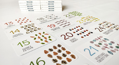 FLASHCARDS CONTEO: NÚMEROS DEL 1 AL 25. (CARTAS EDUCATIVAS MONTESSORI) - comprar online