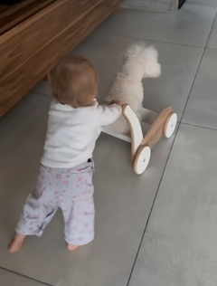CARRITO CAMINADOR MONTESSORI "SOFI" (pre-venta) - comprar online