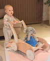 CARRITO CAMINADOR MONTESSORI "SOFI" (pre-venta)