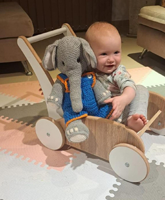 CARRITO CAMINADOR MONTESSORI "SOFI" (pre-venta) - tienda online
