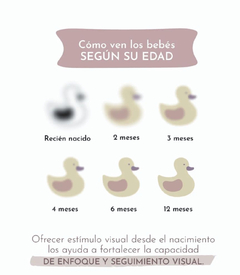CARTAS DE ESTIMULACIÓN VISUAL MONTESSORI PARA BEBÉS - tienda online