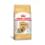 Ração Royal Canin Shih Tzu Para Cães Adultos 2,5kg