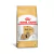 Ração Royal Canin Shih Tzu Para Cães Adultos 2,5kg