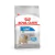 Ração Royal Canin Mini Light Cães Adultos 1kg