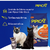 Areia Sanitária Kelco Pipicat MultiCat 12kg - loja online