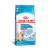 Ração Royal Canin Mini Indoor Cães Filhotes Porte Pequeno 2,5kg