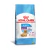 Ração Royal Canin Mini Indoor Puppy Cães Filhotes Porte Pequeno 1kg