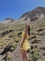 Vestido Lilly Amarelo na internet