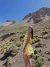 Vestido Lilly Amarelo na internet