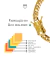 PULSEIRA BANHADA: GRUMET 8MM - loja online