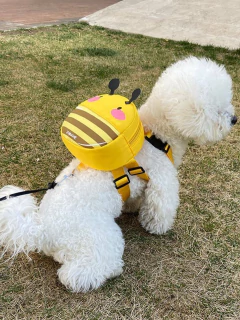 Mochila Peitoral Para Creche Pet Abelhinha Ajustável com Guia - Jeito Pet | Produtos e brinquedos encantadores para cães e gatos |  parcelamos em até 3x sem juros e frete grátis para todo Brasil | Produtos com 100% de satisfação garantida | Melhor Pet Shop online do Brasil. 