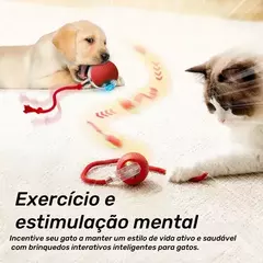 Bolinha Giratória Automática Rolamento - Brinquedos Interativo Inteligente para Cães e Gatos - comprar online