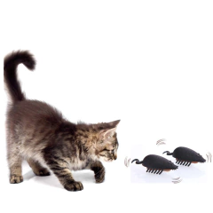 Joaninha elétrica para gatos