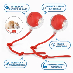 Kit Duas Bolinhas Inteligente Interativa: Diversão Sem Fim para Cães e Gatos! na internet