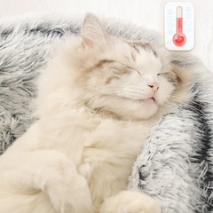 Cama para cães e gatos Jeito Aconchego na internet