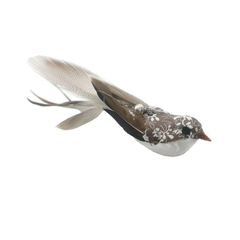 Imagem do Pássaro avulso Varinha Jeito Bird
