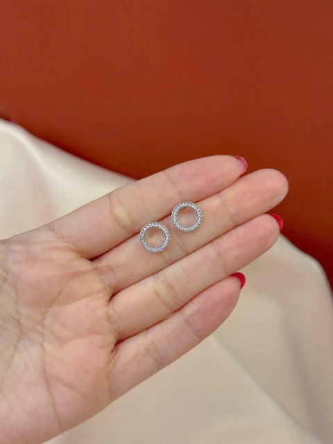 Brinco Círculo Vazado Cravejado