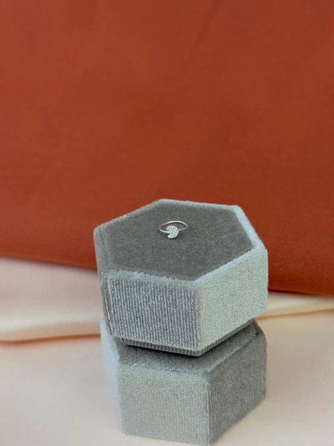 Piercing Argola Lua Cravejada