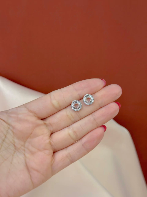 Brinco Redondo Vazado Cravejado