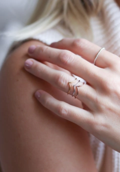 Imagem do Anel Ponta