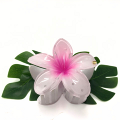 Piranha Flower na internet