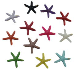 Hair Clip Estrela do Mar na internet