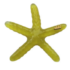 Hair Clip Estrela do Mar - OHH-HAPPY