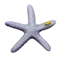Hair Clip Estrela do Mar