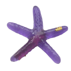 Hair Clip Estrela do Mar na internet
