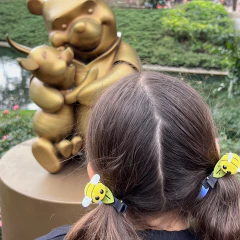 Hair Clip Duplo ZZZ - comprar online
