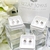 Aros Abridores Semi Susan Cubic - Plata - tienda online