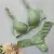 CONJUNTO MAJU PERENE