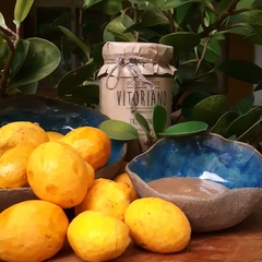 Doce de Leite com Pequi - comprar online