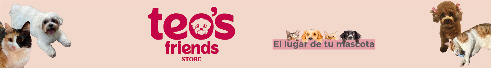 Banner de la categoría BOLSOS TRANPORTADORES