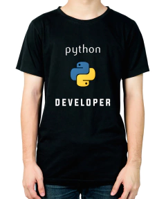 0817 - IT Python Developer