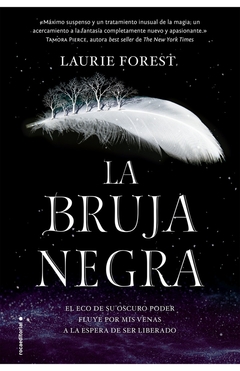 La bruja negra (Las crónicas de la bruja negra 1)