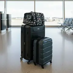 Bolso Transportador Para Air Europa - comprar online